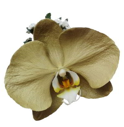 Orquídea Dorada
